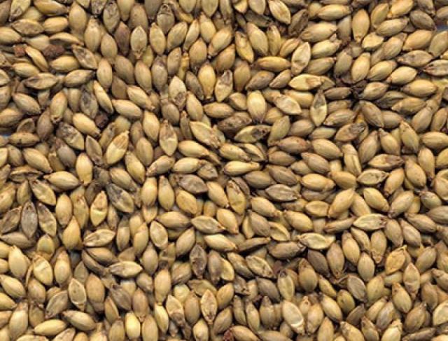 Transporte de Sementes